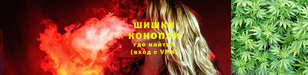 ешки Арсеньев