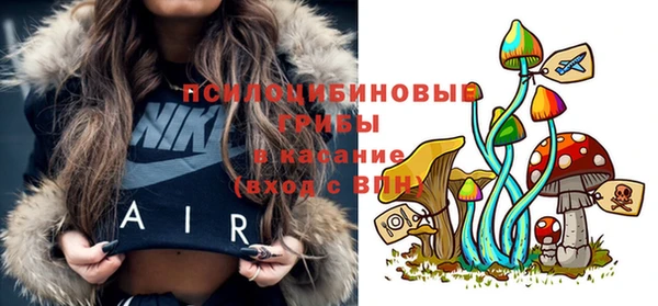 jwh Аркадак
